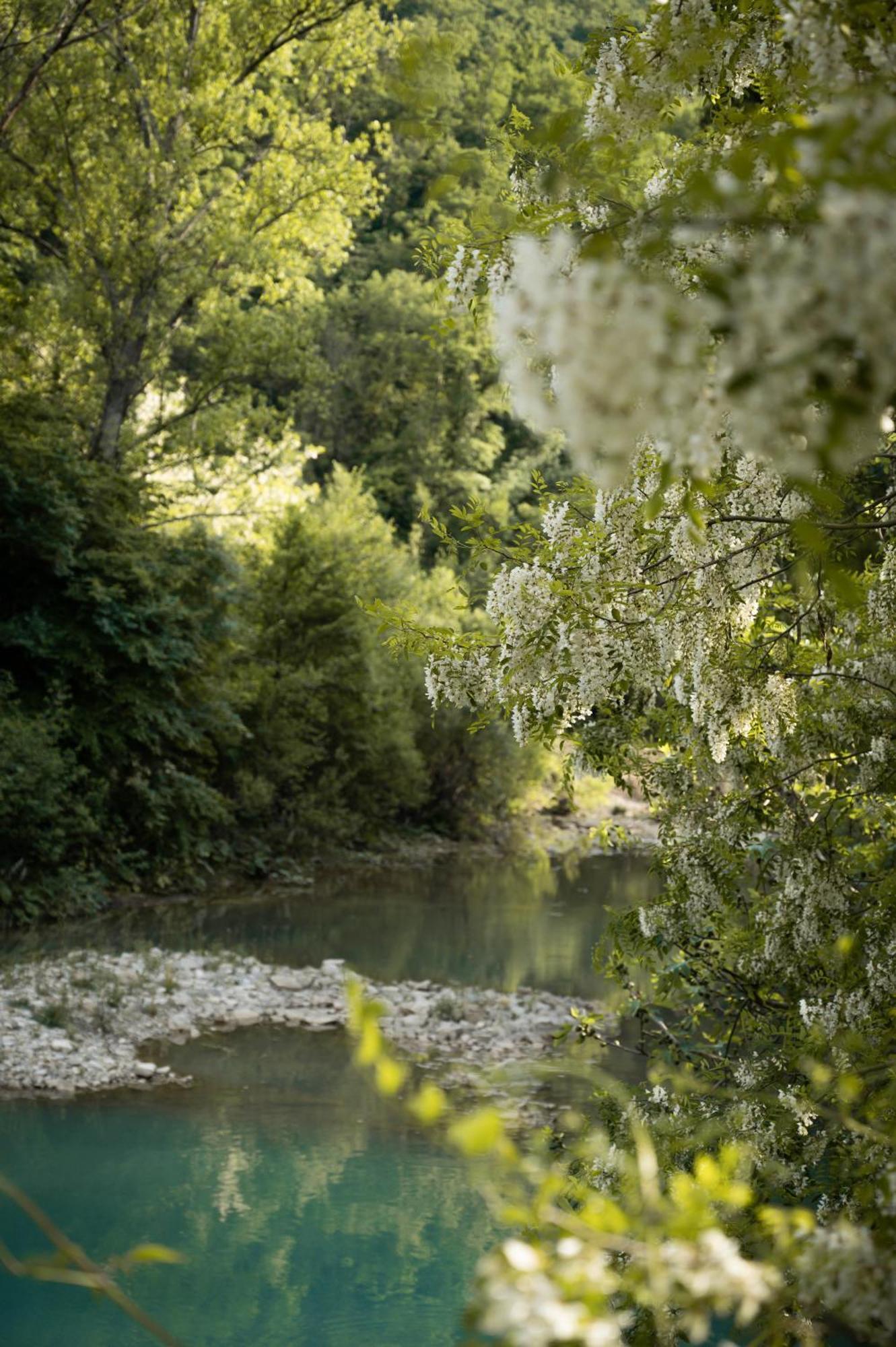 Šmarje Glamping Dragonja River מראה חיצוני תמונה